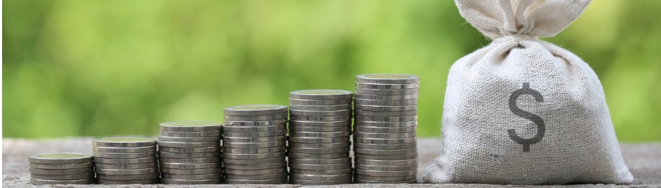 money bag and stack of coins money on natural green background money bag and stack of coins money on natural green background